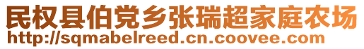 民权县伯党乡张瑞超家庭农场