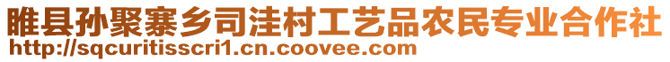 睢縣孫聚寨鄉司洼村工藝品農民專業合作社