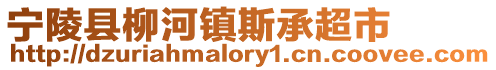 寧陵縣柳河鎮斯承超市