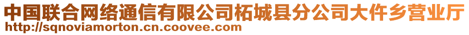 中國聯(lián)合網(wǎng)絡(luò)通信有限公司柘城縣分公司大仵鄉(xiāng)營業(yè)廳