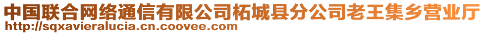 中國聯(lián)合網(wǎng)絡(luò)通信有限公司柘城縣分公司老王集鄉(xiāng)營業(yè)廳