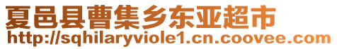 夏邑縣曹集鄉(xiāng)東亞超市