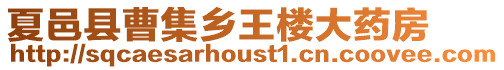 夏邑縣曹集鄉(xiāng)王樓大藥房