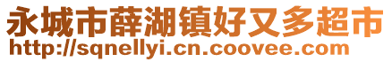 永城市薛湖鎮(zhèn)好又多超市