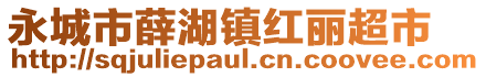 永城市薛湖镇红丽超市