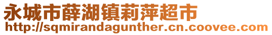 永城市薛湖镇莉萍超市