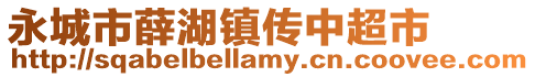 永城市薛湖镇传中超市