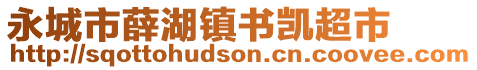 永城市薛湖镇书凯超市