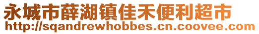 永城市薛湖镇佳禾便利超市