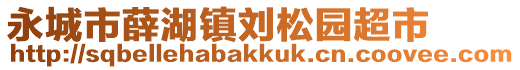 永城市薛湖镇刘松园超市