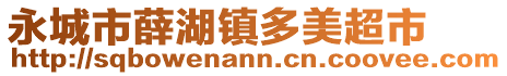 永城市薛湖镇多美超市