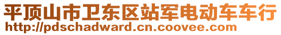 平頂山市衛(wèi)東區(qū)站軍電動(dòng)車車行