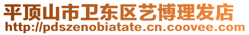 平頂山市衛東區藝博理發店