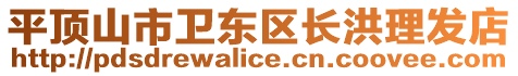 平頂山市衛(wèi)東區(qū)長(zhǎng)洪理發(fā)店