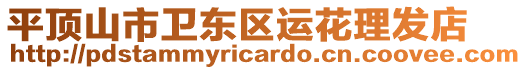 平頂山市衛東區運花理發店