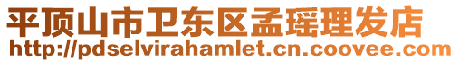 平頂山市衛東區孟瑤理發店