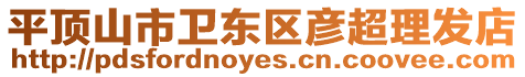 平頂山市衛東區彥超理發店