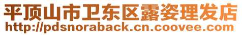 平頂山市衛東區露姿理發店