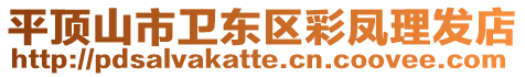 平頂山市衛(wèi)東區(qū)彩鳳理發(fā)店