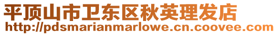 平頂山市衛東區秋英理發店