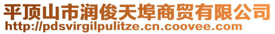 平頂山市潤俊天埠商貿有限公司