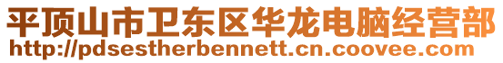 平頂山市衛(wèi)東區(qū)華龍電腦經(jīng)營部