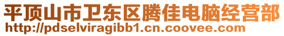 平頂山市衛(wèi)東區(qū)騰佳電腦經(jīng)營部