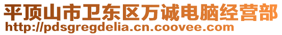 平頂山市衛東區萬誠電腦經營部