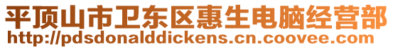 平頂山市衛(wèi)東區(qū)惠生電腦經營部