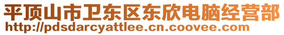 平頂山市衛(wèi)東區(qū)東欣電腦經(jīng)營部