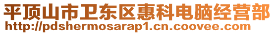 平頂山市衛(wèi)東區(qū)惠科電腦經(jīng)營部