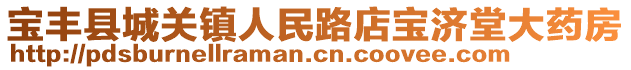 宝丰县城关镇人民路店宝济堂大药房