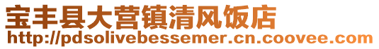 寶豐縣大營鎮清風飯店