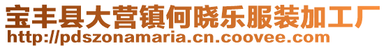 寶豐縣大營(yíng)鎮(zhèn)何曉樂服裝加工廠