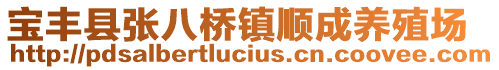 寶豐縣張八橋鎮(zhèn)順成養(yǎng)殖場(chǎng)