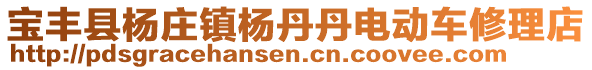 寶豐縣楊莊鎮(zhèn)楊丹丹電動車修理店