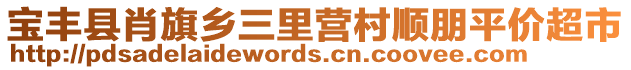 寶豐縣肖旗鄉(xiāng)三里營村順朋平價超市