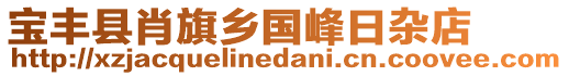 寶豐縣肖旗鄉(xiāng)國峰日雜店