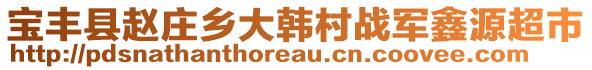 寶豐縣趙莊鄉(xiāng)大韓村戰(zhàn)軍鑫源超市