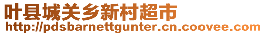 葉縣城關(guān)鄉(xiāng)新村超市