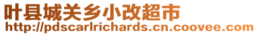 葉縣城關(guān)鄉(xiāng)小改超市