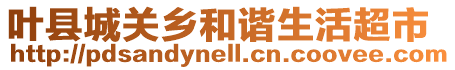 葉縣城關(guān)鄉(xiāng)和諧生活超市