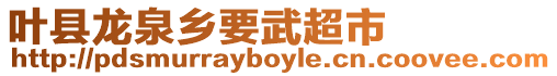 葉縣龍泉鄉要武超市