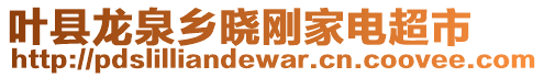 叶县龙泉乡晓刚家电超市