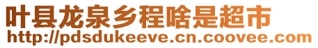 葉縣龍泉鄉程啥是超市