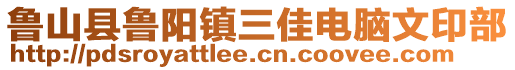 鲁山县鲁阳镇三佳电脑文印部