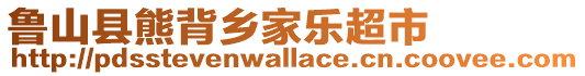 魯山縣熊背鄉家樂超市