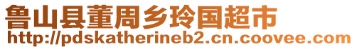 魯山縣董周鄉玲國超市