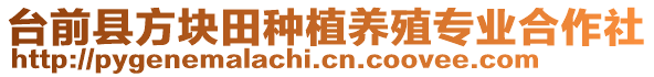 臺(tái)前縣方塊田種植養(yǎng)殖專(zhuān)業(yè)合作社