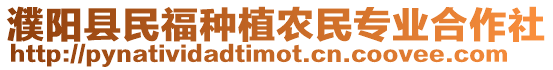 濮陽縣民福種植農民專業合作社